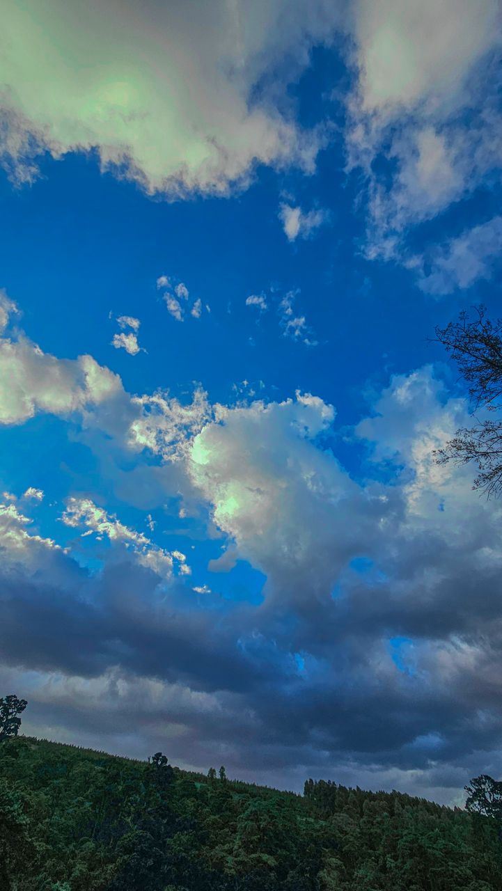 5-Day Safari with Flight