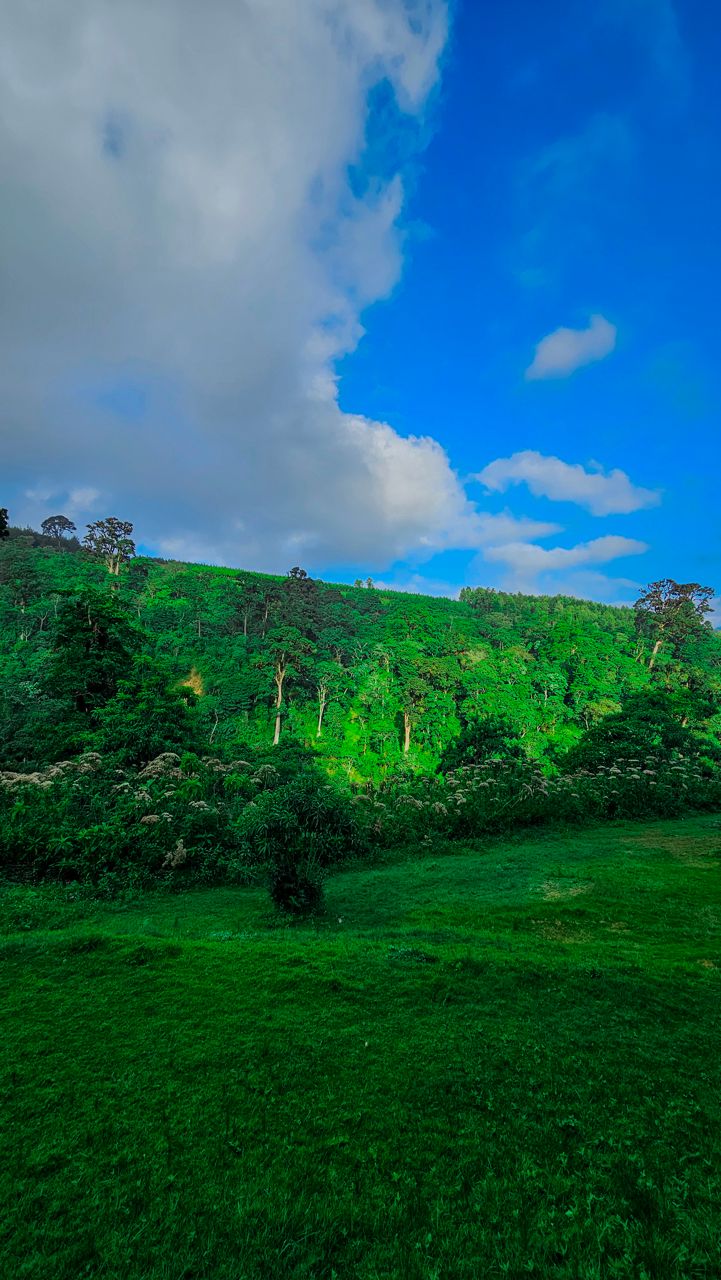 Maasai Village Visit