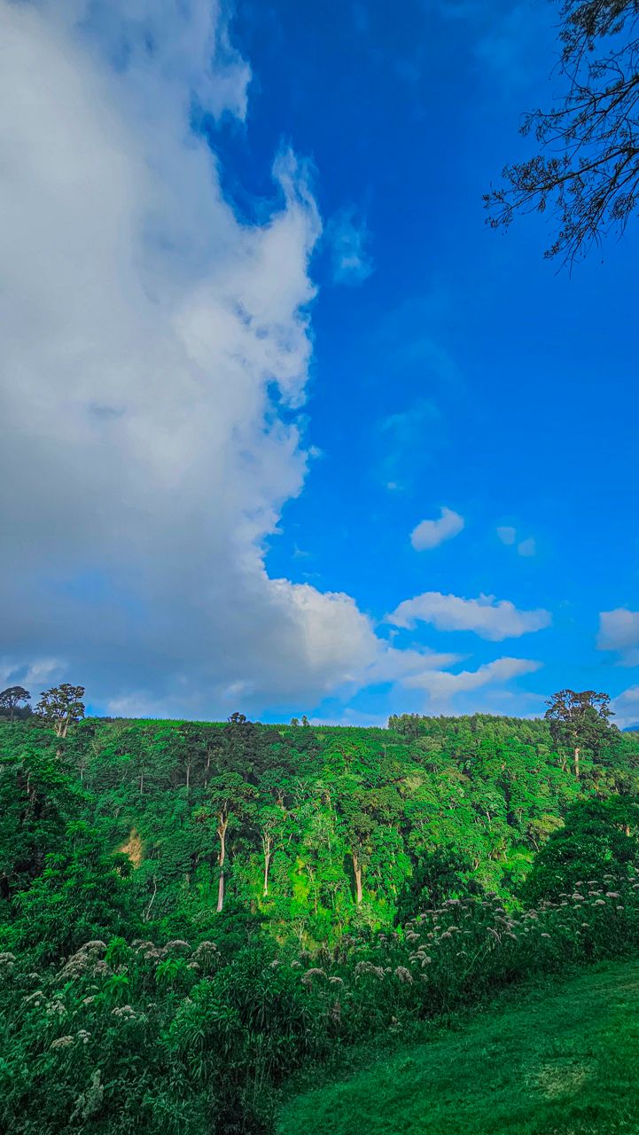 Chagga Village & Caves