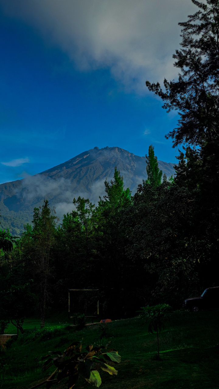 Tanzania landscape